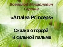 Attalea princeps