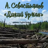 Дикий урман - Анатолий Севастьянов