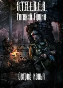 S.T.A.L.K.E.R. Острие копья - Евгений Гущин